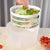 Salad Spinner Vegetable Lettuce Greens Dryer Washer Crisper Vegetable Centrifuge Salad Drying For Greens Kitchen Accessories